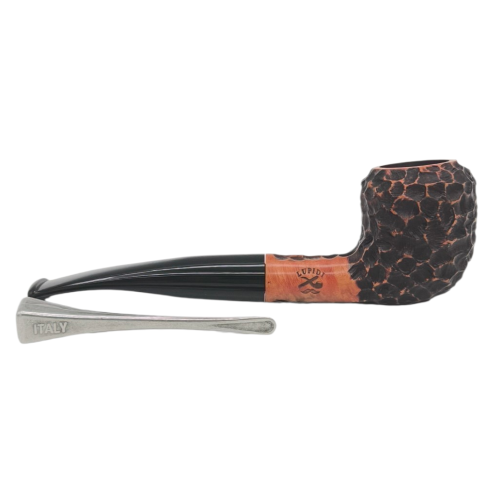 Paronelli rusticata profonda